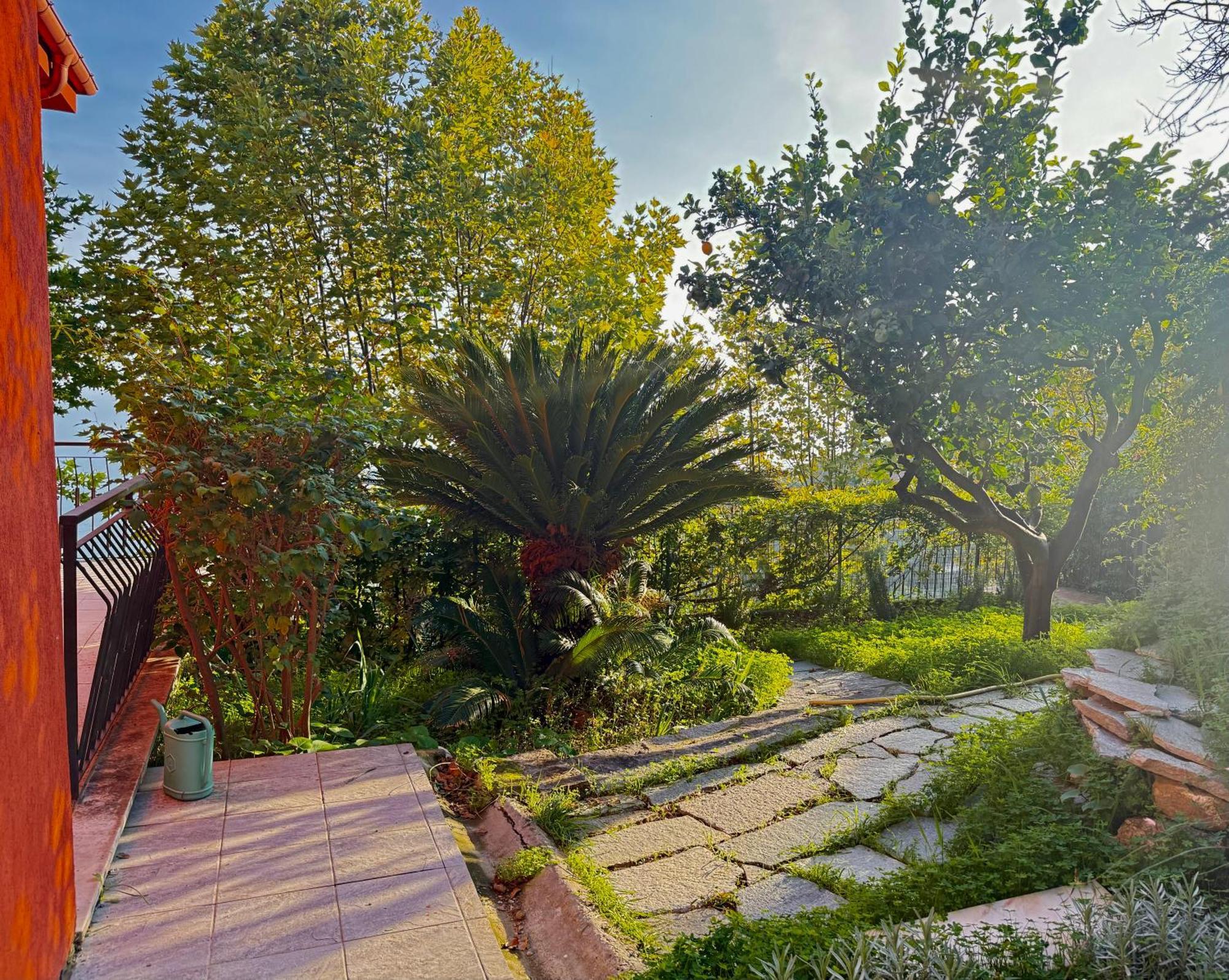 Villa Cielo Costarainera 外观 照片