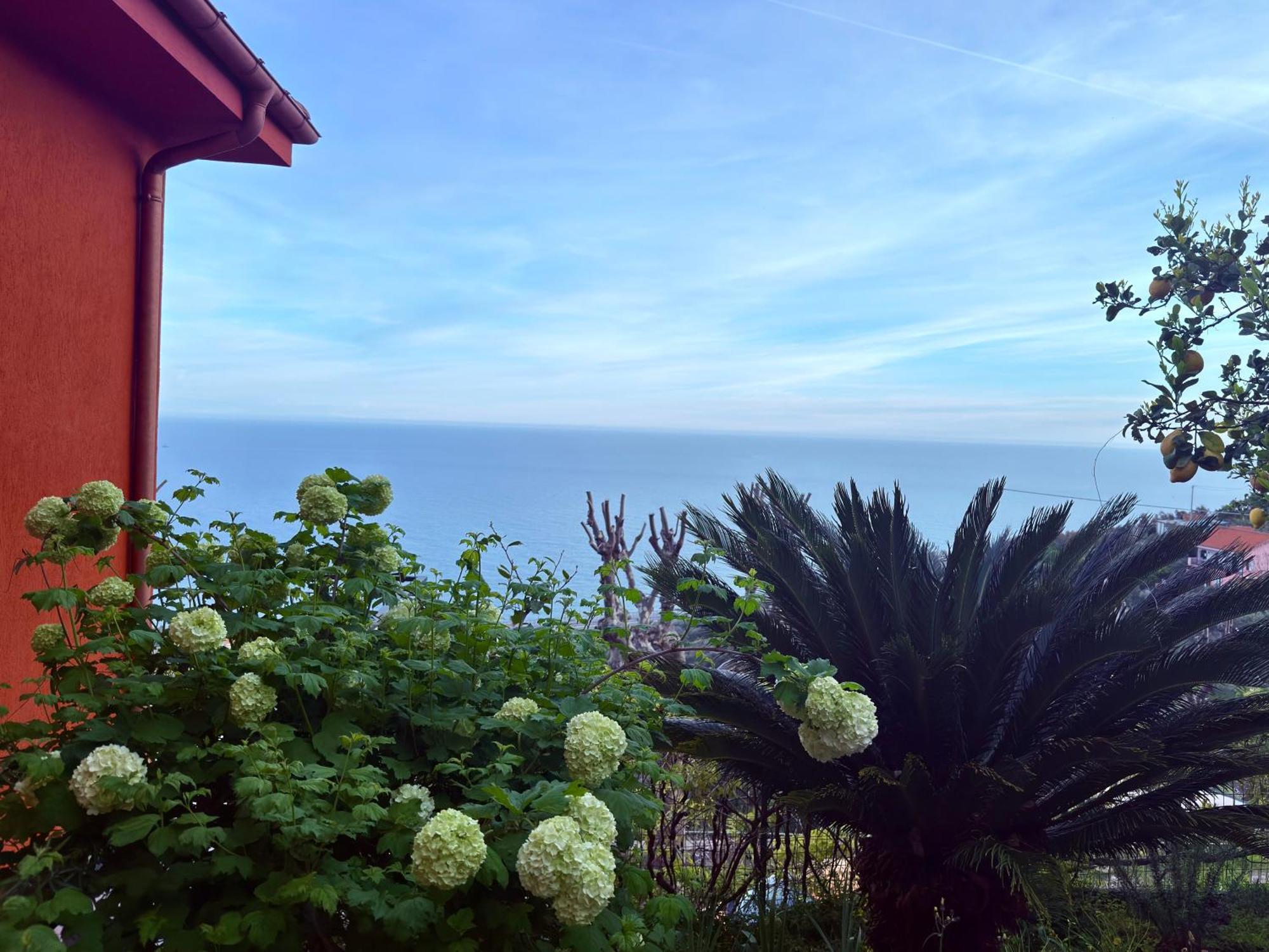Villa Cielo Costarainera 外观 照片
